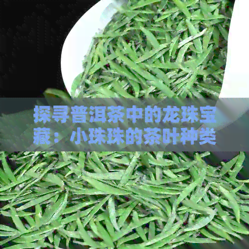 探寻普洱茶中的龙珠宝藏：小珠珠的茶叶种类与品鉴之道