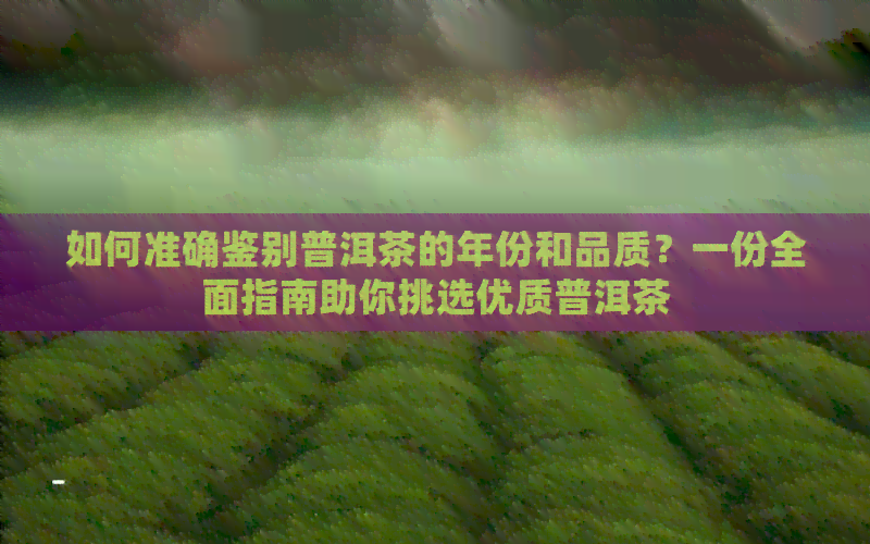 如何准确鉴别普洱茶的年份和品质？一份全面指南助你挑选优质普洱茶