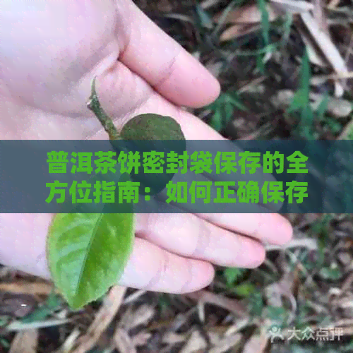 普洱茶饼密封袋保存的全方位指南：如何正确保存以长茶叶品质和保质期