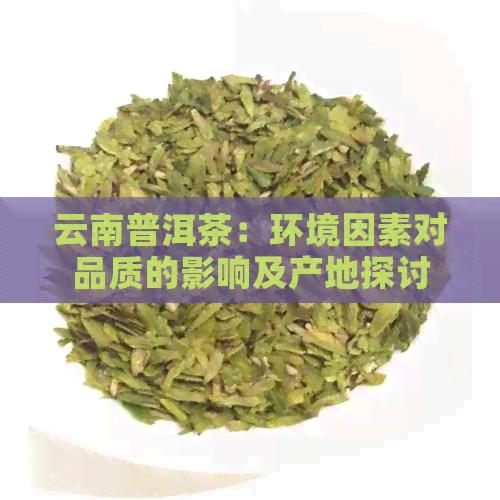 云南普洱茶：环境因素对品质的影响及产地探讨