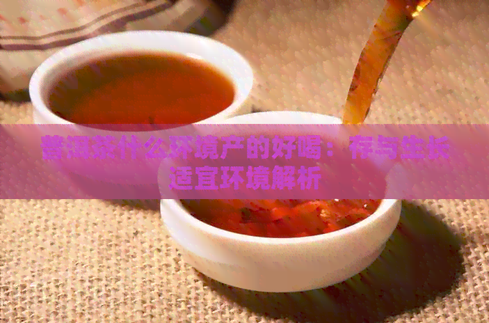 普洱茶什么环境产的好喝：存与生长适宜环境解析