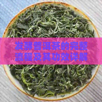 发酵普洱茶的完整流程及其功效详解