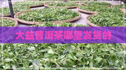 大益普洱茶哪里发货的