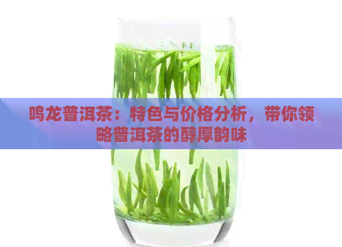 鸣龙普洱茶：特色与价格分析，带你领略普洱茶的醇厚韵味