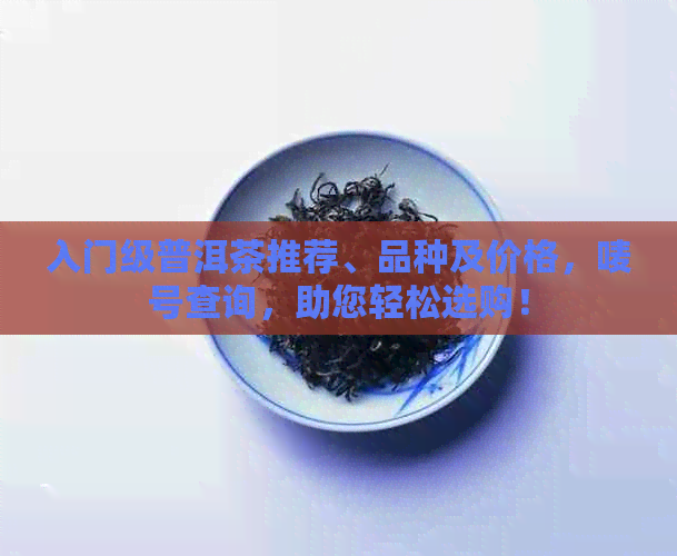 入门级普洱茶推荐、品种及价格，唛号查询，助您轻松选购！