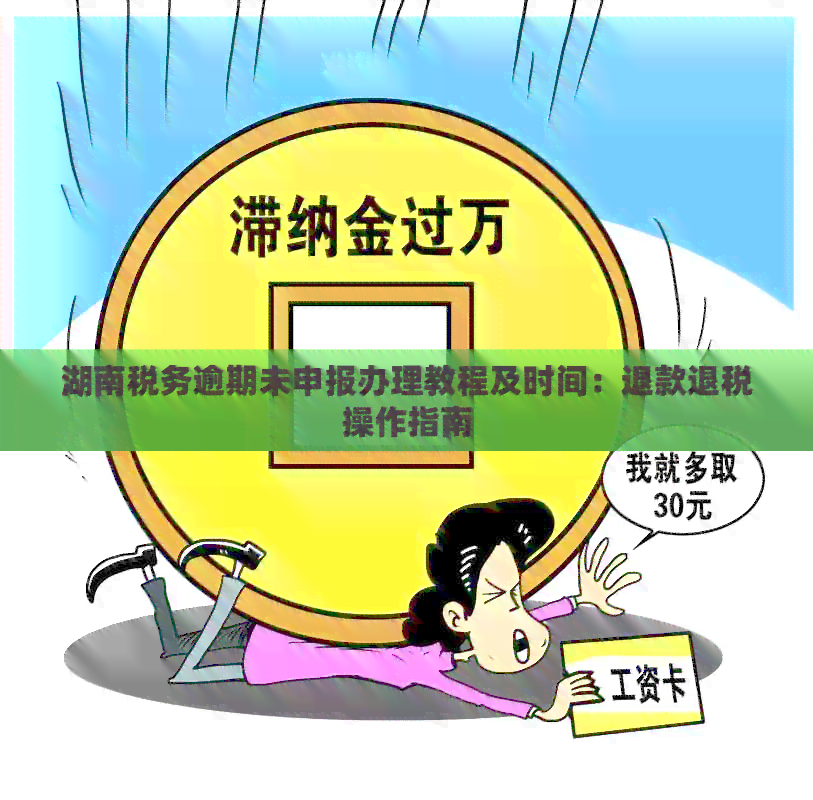 湖南税务逾期未申报办理教程及时间：退款退税操作指南