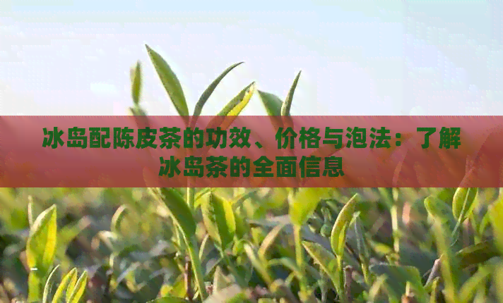 冰岛配陈皮茶的功效、价格与泡法：了解冰岛茶的全面信息