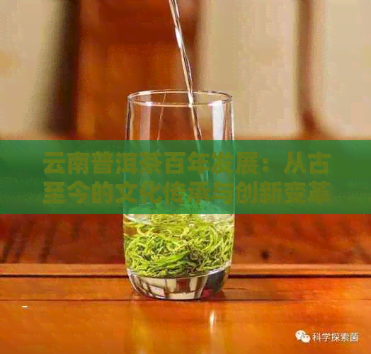 云南普洱茶百年发展：从古至今的文化传承与创新变革