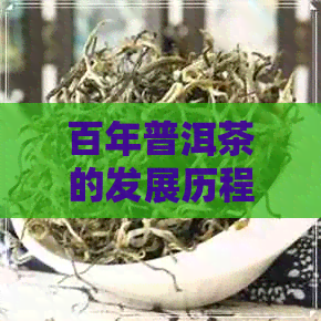 百年普洱茶的发展历程