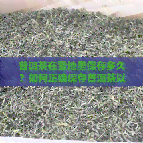 普洱茶在雪地里保存多久？如何正确保存普洱茶以确保品质？