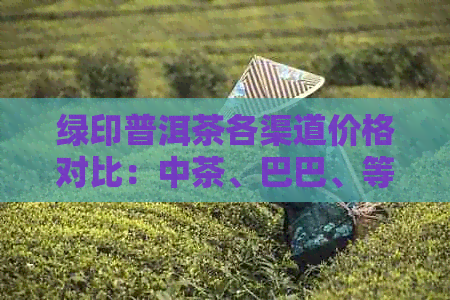 绿印普洱茶各渠道价格对比：中茶、巴巴、等厂家全方位解析