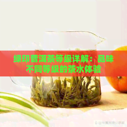 绿印普洱茶等级详解：品味不同等级的茶水体验