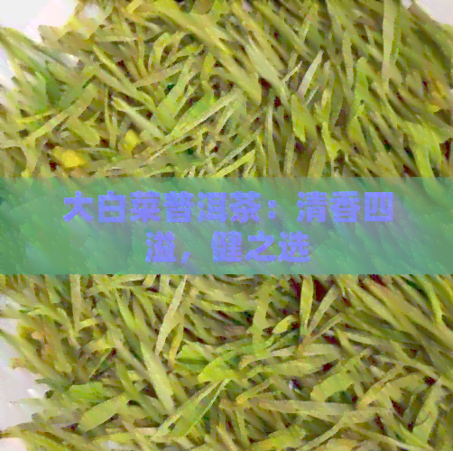 大白菜普洱茶：清香四溢，健之选