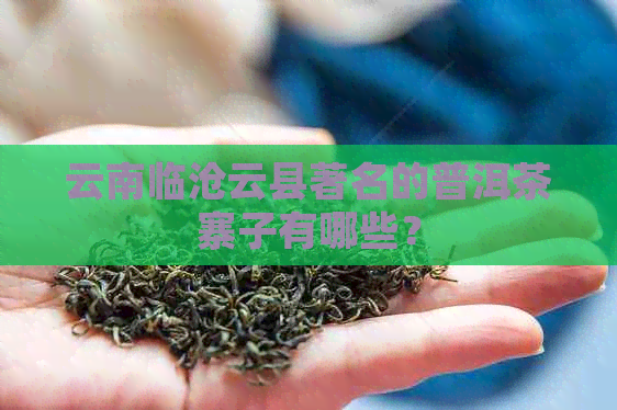 云南临沧云县著名的普洱茶寨子有哪些？