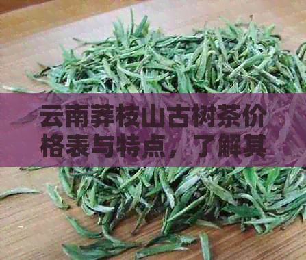 云南莽枝山古树茶价格表与特点，了解其由来与市场行情