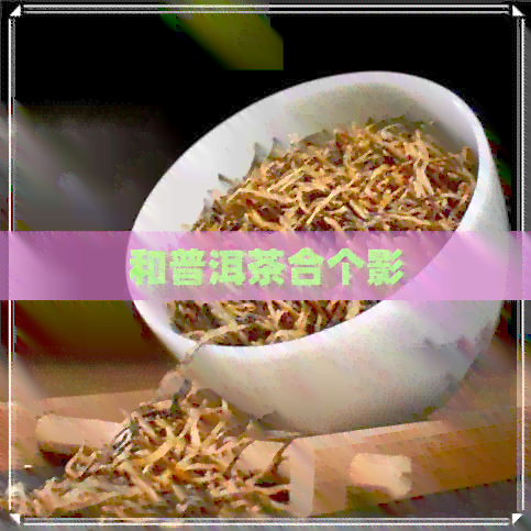 和普洱茶合个影