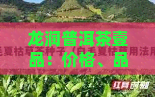 龙润普洱茶壹品：价格、品质与口感的全面解析