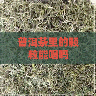 普洱茶里的颗粒能喝吗