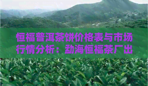 恒福普洱茶饼价格表与市场行情分析：勐海恒福茶厂出品的高品质茶叶