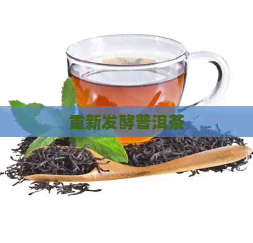 重新发酵普洱茶