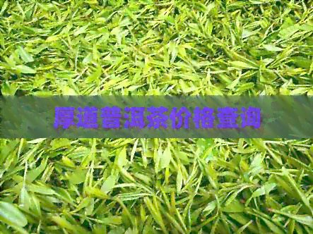 厚道普洱茶价格查询