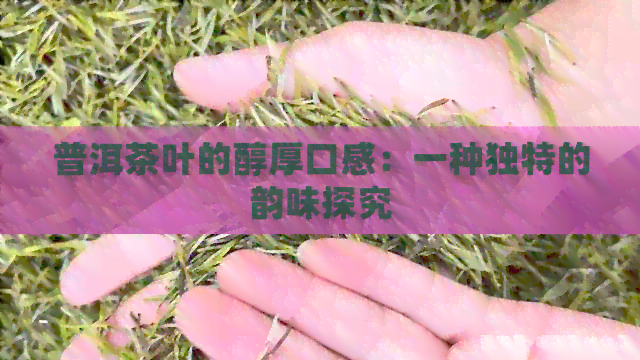 普洱茶叶的醇厚口感：一种独特的韵味探究