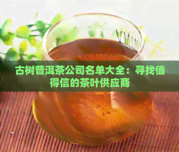 古树普洱茶公司名单大全：寻找值得信的茶叶供应商