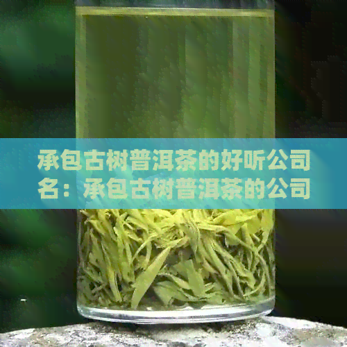 承包古树普洱茶的好听公司名：承包古树普洱茶的公司叫什么