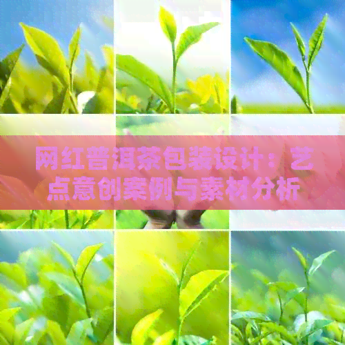 网红普洱茶包装设计：艺点意创案例与素材分析