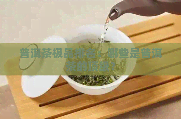 普洱茶极品排名：哪些是普洱茶的顶级？