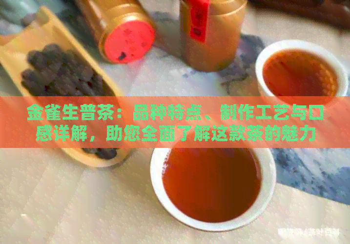 金雀生普茶：品种特点、制作工艺与口感详解，助您全面了解这款茶的魅力