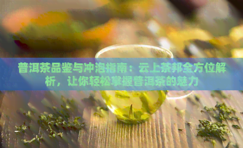 普洱茶品鉴与冲泡指南：云上茶邦全方位解析，让你轻松掌握普洱茶的魅力