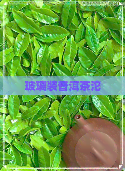 玻璃装普洱茶沱