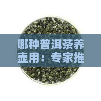 哪种普洱茶养壶用：专家推荐的几种优质茶叶