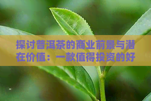 探讨普洱茶的商业前景与潜在价值：一款值得投资的好茶吗？