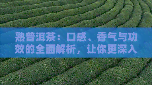 熟普洱茶：口感、香气与功效的全面解析，让你更深入了解这种独特茶叶