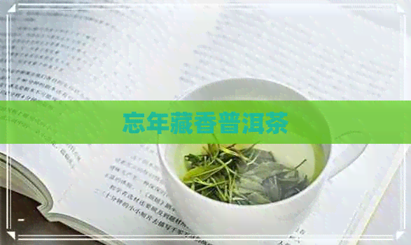 忘年藏香普洱茶