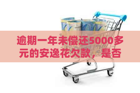 逾期一年未偿还5000多元的安逸花欠款，是否会面临法律诉讼？