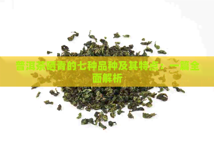 普洱茶晒青的七种品种及其特点：一篇全面解析