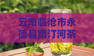 云南临沧市永德县南汀河茶厂金芽熟砖质量与口碑如何？