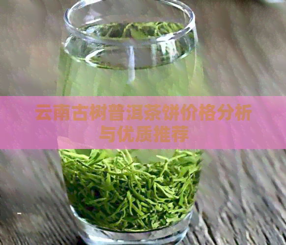 云南古树普洱茶饼价格分析与优质推荐