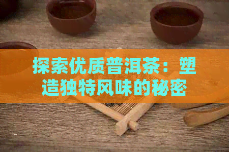 探索优质普洱茶：塑造独特风味的秘密