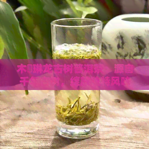 木鳳琳龙古树普洱茶：源自千年古树，绽放独特风味