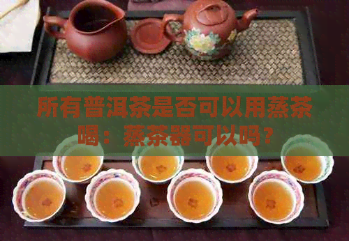 所有普洱茶是否可以用蒸茶喝：蒸茶器可以吗？