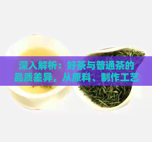 深入解析：好茶与普通茶的品质差异，从原料、制作工艺到口感全方位比较