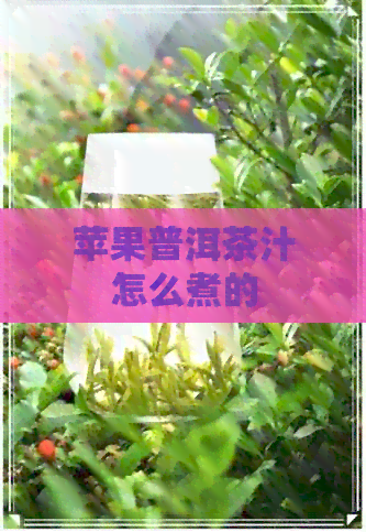 苹果普洱茶汁怎么煮的