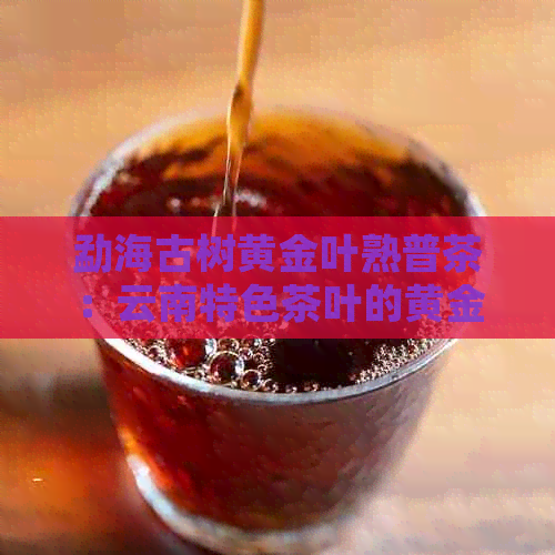 勐海古树黄金叶熟普茶：云南特色茶叶的黄金批发价格与品质