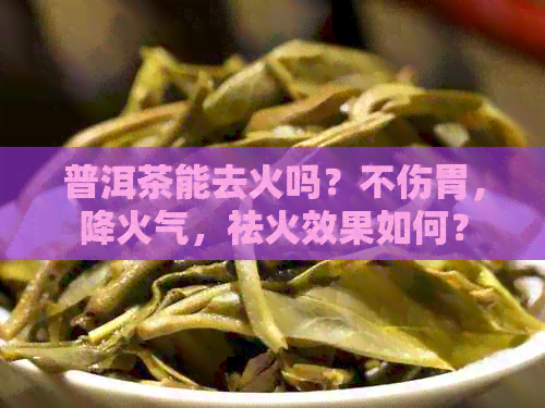 普洱茶能去火吗？不伤胃，降火气，祛火效果如何？