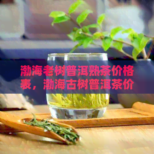 渤海老树普洱熟茶价格表，渤海古树普洱茶价格表