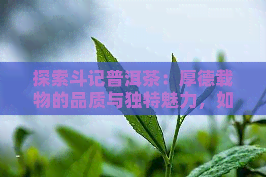 探索斗记普洱茶：厚德载物的品质与独特魅力，如何品鉴与选购？